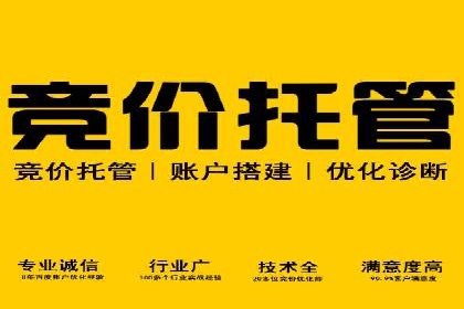 案例解析：SEM优化助力电商转化